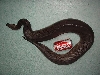 black short tail